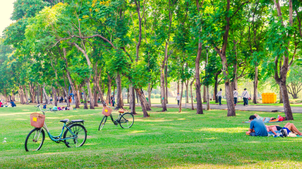 5 Must-Visit Parks and Gardens in 2024