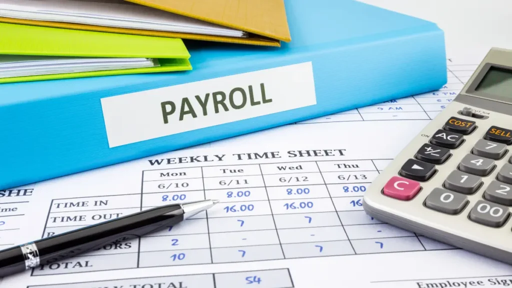 Payroll Consultant