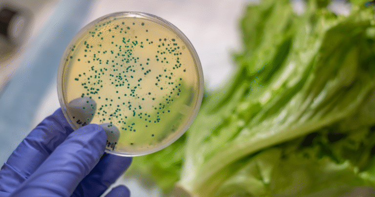 Particle Contamination